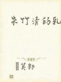 朱竹清的乳封面