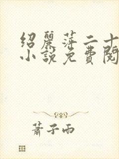 绍丽萍二十八部小说免费阅读最新章