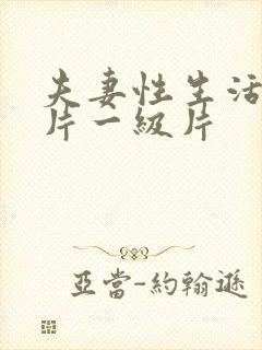 夫妻性生活黄色片一级片封面