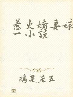 惹火娇妻嫁一送一小说