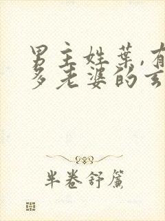 男主姓叶,有很多老婆的玄幻小说