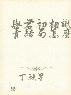 与君初相识林昊青结局怎么样