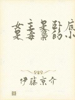 女主是卧底男主是毒枭的小说