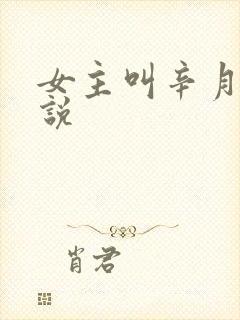 女主叫辛月的小说