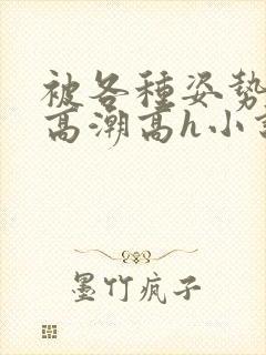 被各种姿势c到高潮高h小说