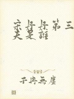 宋丹丹第三任丈夫是谁