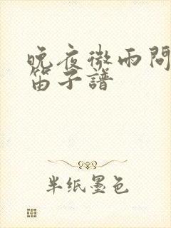 晚夜微雨问海棠笛子谱