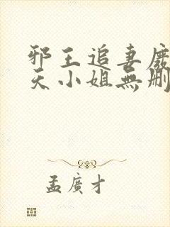 邪王追妻废材逆天小姐无删减