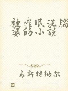 被催眠洗脑的老婆的小说封面