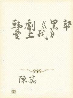 韩剧《黑帮大佬爱上我》