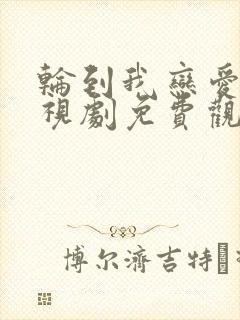 轮到我恋爱了电视剧免费观看全集高清