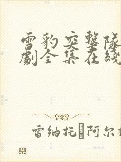 雪豹突击队电视剧全集在线观看