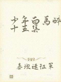 少年白马醉春风十五集