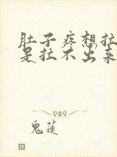 肚子疼想拉屎但是拉不出来是怎么回事