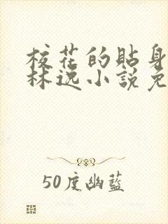 校花的贴身高手林逸小说免费阅读全文封面