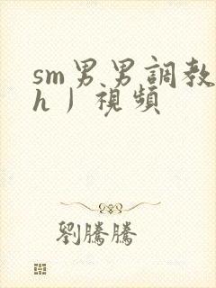 sm男男调教〈h丿视频
