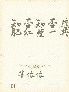 知否知否应是绿肥红瘦一共多少集