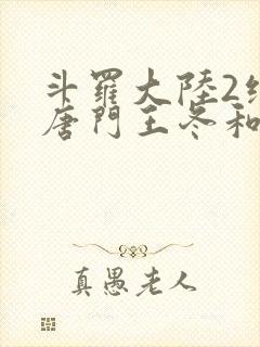 斗罗大陆2绝世唐门王冬和霍雨浩封面