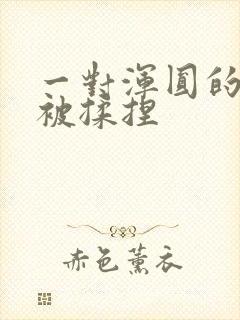 一对浑圆的胸乳被揉捏