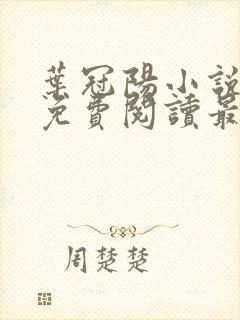 叶冠阳小说全文免费阅读最新章节