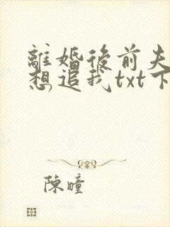 离婚后前夫总是想追我txt下载