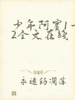 少年阿宾1一72全文在线封面