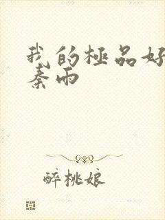 我的极品好儿媳秦雨封面