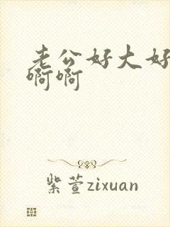 老公好大好爽啊啊啊封面