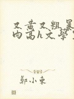 又黄又粗暴的纯肉高h文学生男男