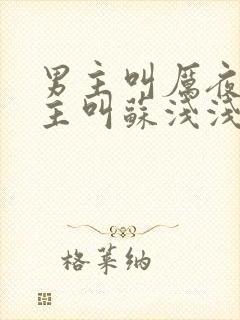 男主叫厉夜霆女主叫苏浅浅的小说