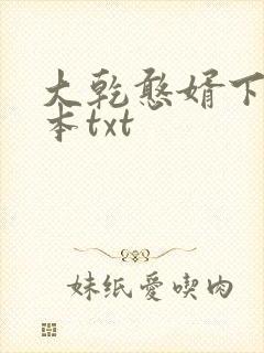 大乾憨婿下载全本txt