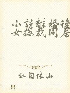 小说离婚后和美女总裁同居前妻你急什么下载封面