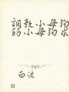 调教小母狗 操的小母狗求饶