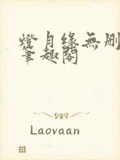 灯月缘无删减版笔趣阁