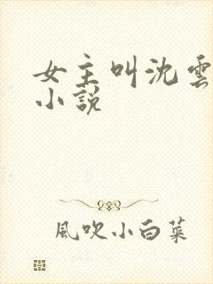 女主叫沈云舒的小说