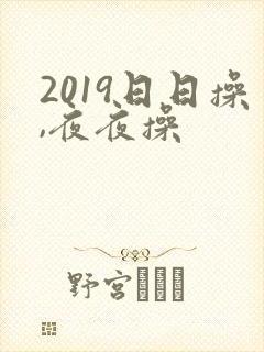 2019日日操,夜夜操封面
