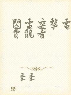 闪电突击电影免费观看