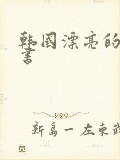 韩国漂亮的女秘书