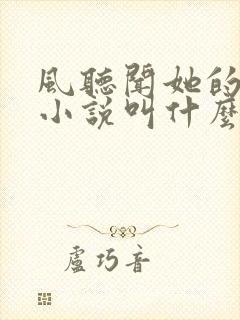 风听闻她的告白小说叫什么名字