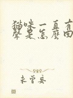 猫咪一直有呼噜声是怎么回事