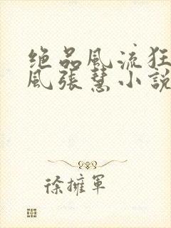 绝品风流狂医林风张慧小说阅读