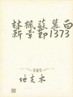 林枫苏慕白穿最新章节1373