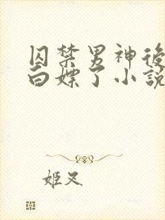 囚禁男神后我被白嫖了小说