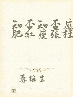 知否知否应是绿肥红瘦张桂芳封面