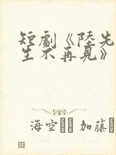 短剧《陆先生余生不再见》