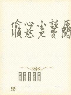 偷心小说原著李顺慈免费阅读