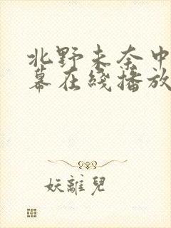北野未奈中文字幕在线播放
