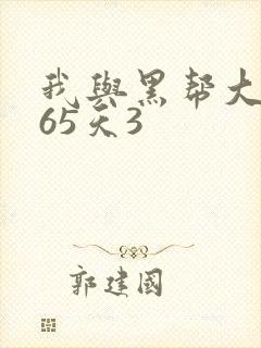 我与黑帮大佬365天3