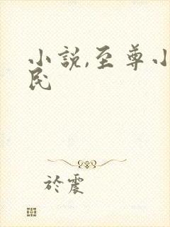 小说,至尊小农民