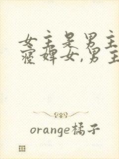 女主是男主的侍寝婢女,男主后来变成了皇上